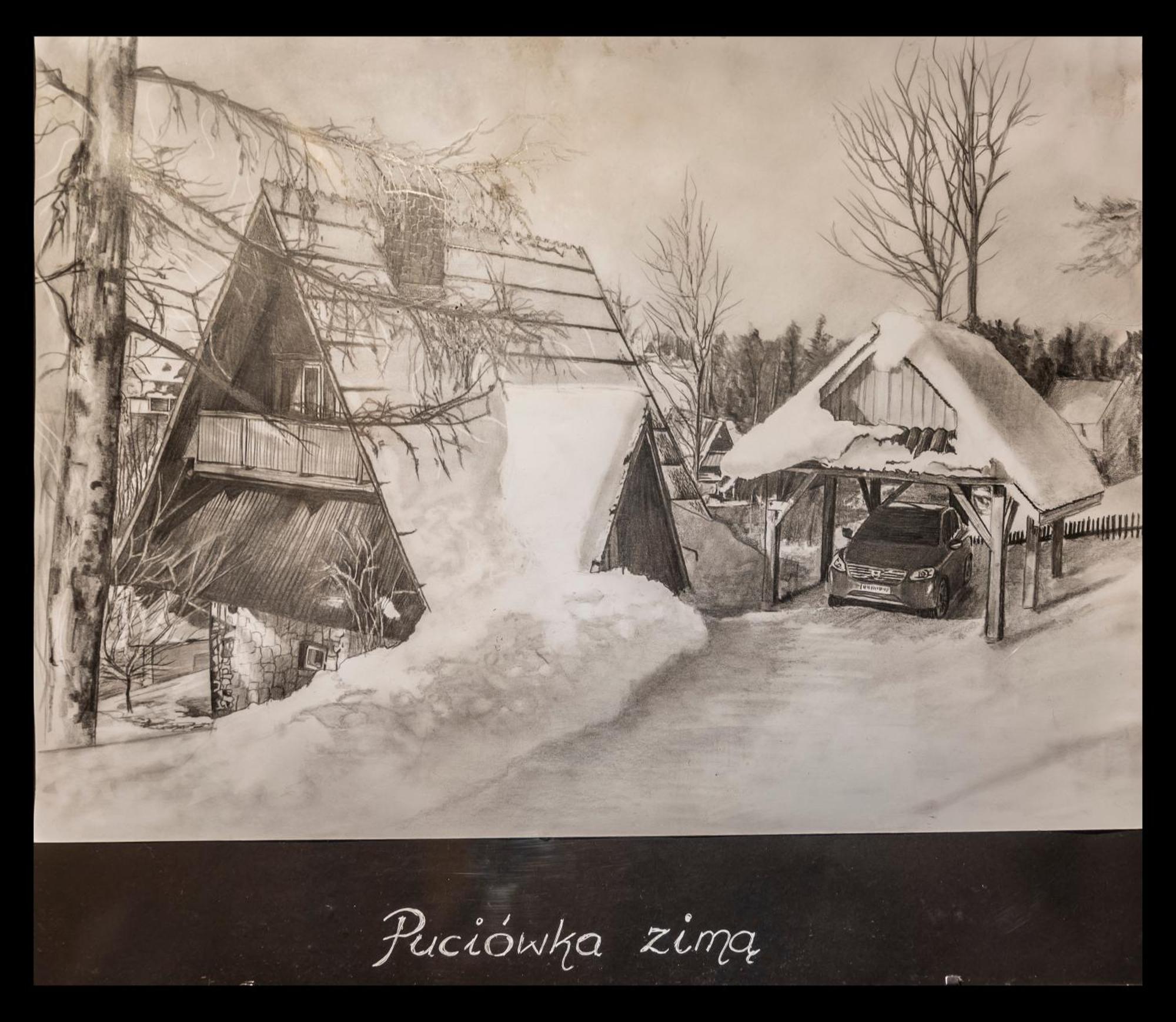 Вилла Puciowka Косцелиско Экстерьер фото